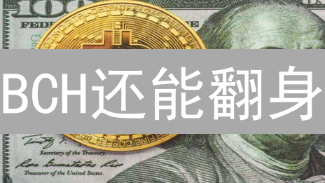 BCH还能翻身？深度剖析比特现金的机遇与挑战【2024最新】