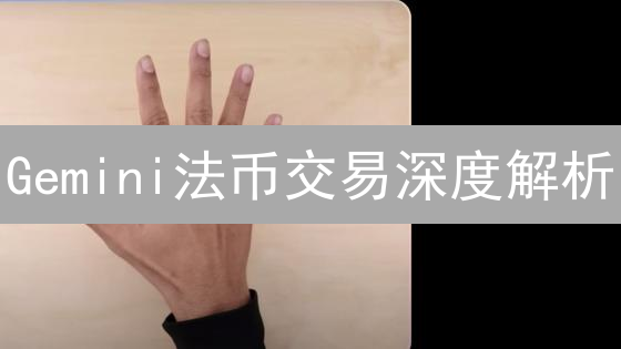 Gemini法币交易深度解析：新手友好，安全至上？
