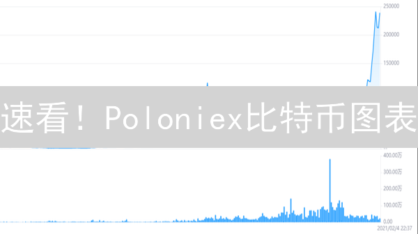 速看！Poloniex比特币图表：精准捕捉暴涨信号！