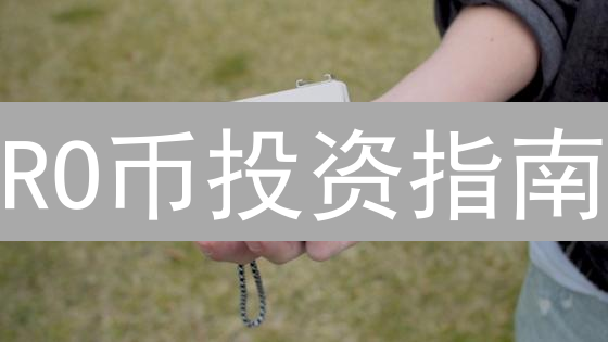 RO币投资指南：新手如何掘金MicroVisionChain？